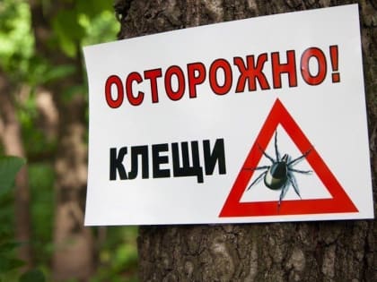 Осторожно, клещи!