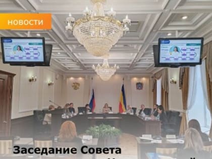 Совет по реализации стратегии для женщин в Ростовской области