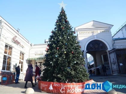 В Ростове около Центрального рынка установили две новогодние ели