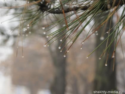 Дожди и похолодание придут в Шахты