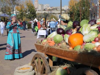 В Ростове пройдет фестиваль «День донского урожая»