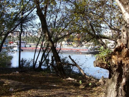 В Ростове-на-Дону разрабатывают  мост на Зеленый остров