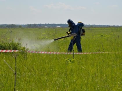 Как моментально избавиться от сорняков по методу Менделеева