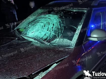 На выезде из Новочеркасска в сторону трассы М4 погиб пешеход