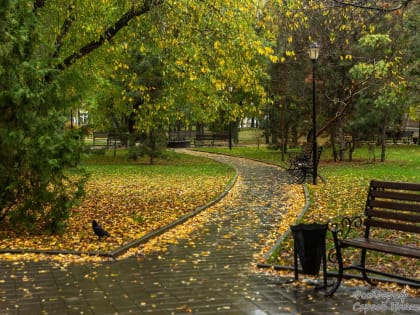 Погода в Таганроге 8 ноября: облачно, +14°, магнитные бури