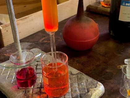 Против холеры: ученые ЮФУ разработали новый растительный антибиотик