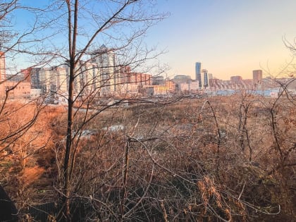 Кубанский строитель займется застройкой на Северном в Ростове за 663 миллиона рублей