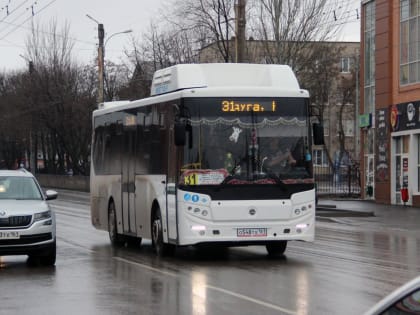В УСЗН Таганрога рассказали, кому положена льгота на проезд