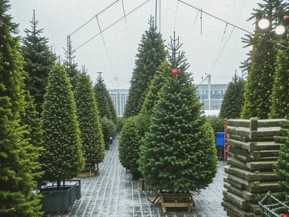 Скоро Новый год: как его встретить с радостью и без стресса