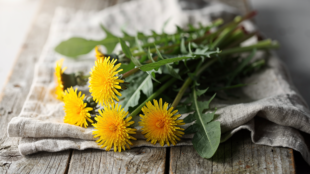 Färska maskrosblad och gula maskrosblommor på en träskiva