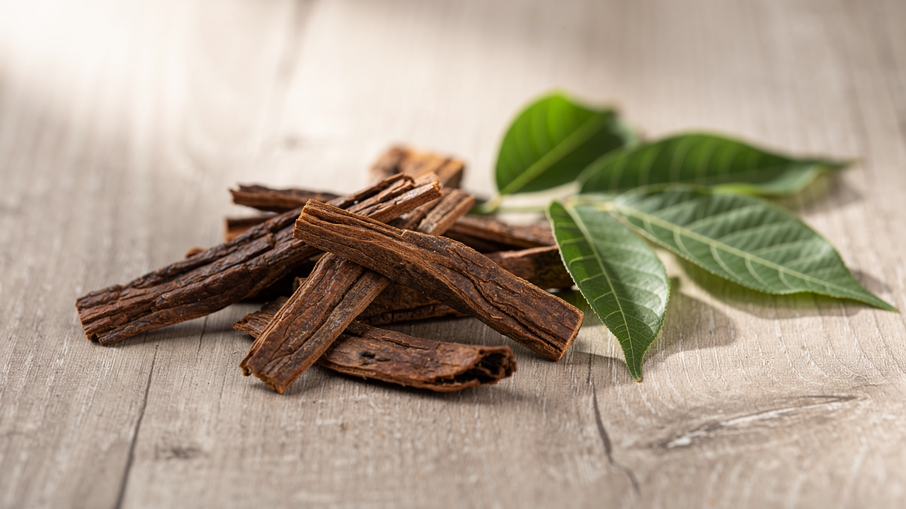 Eucommia Bark: Naturligt kosttillskott för hälsa och välbefinnande