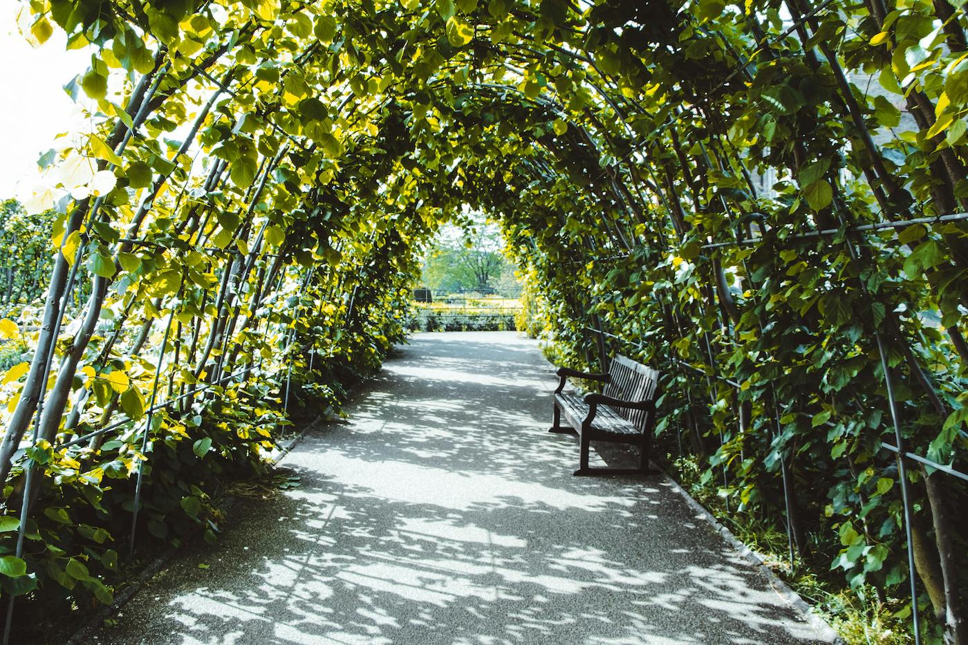 Queen’s Park