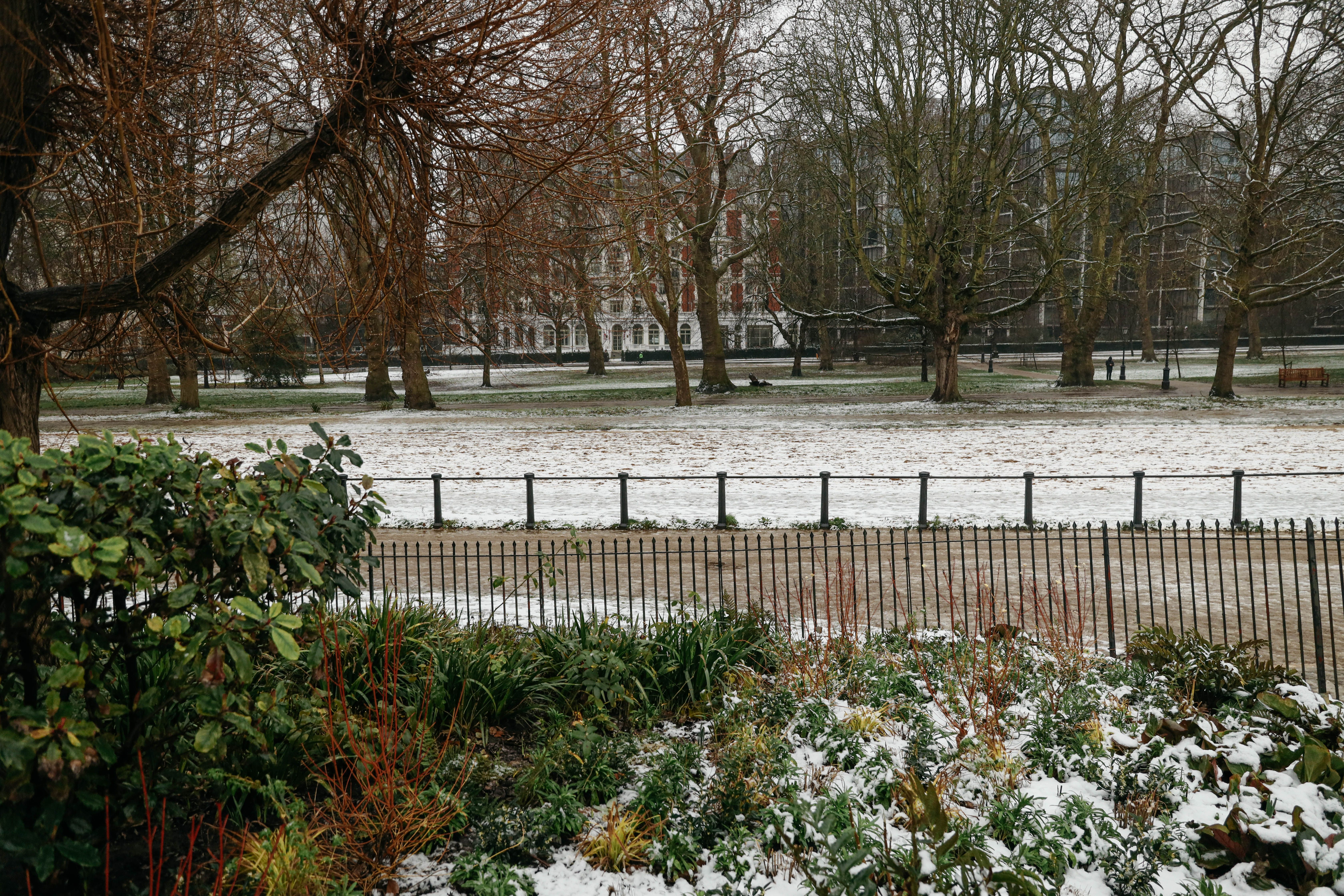 Shepherds Bush