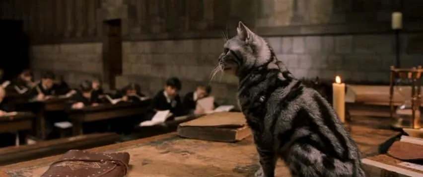 Personaje Harry potter: Minerva McGonagall - gato