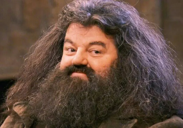 Personaje Harry potter: Rubeus Hagrid. Miembros sobrevivientes de Orden del Fenix