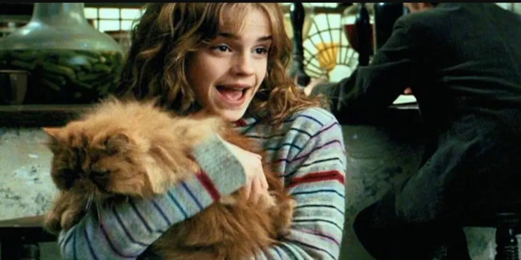 Personaje Harry potter: Crookshanks - gato de Hermione Granger. Gatos