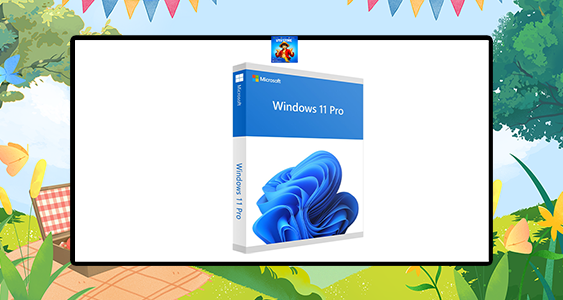 Windows 11 Pro OEM Key (Global)