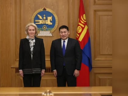 Россия готова построить в Монголии несколько АЭС малой мощности