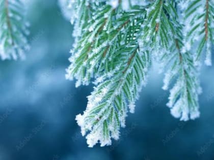 В Улан-Удэ отменены занятия для школьников первой смены