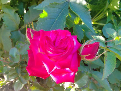 Погода в Бурятии 18 сентября 2023 года