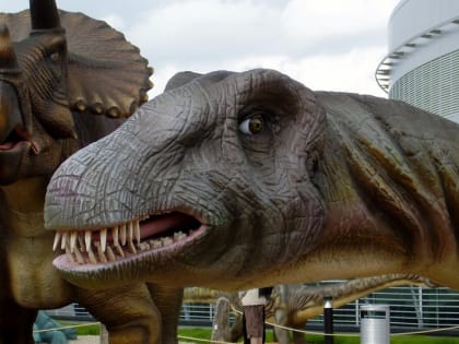 В Монголии впервые прошел фестиваль динозавров