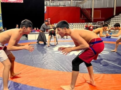Международный турнир по национальной борьбе в Бурятии собрал более 700 спортсменов