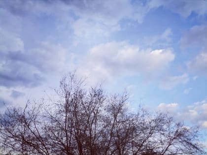 Народные приметы на 1 мая 2023 года: что нельзя делать в день Кузьмы Огородника. Нельзя семена для посадки показывать посторонним людям — могут сглазить