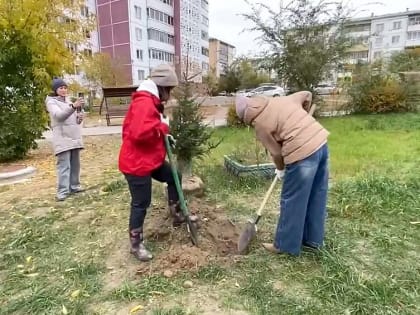 Осенняя озеленение в Улан-Удэ