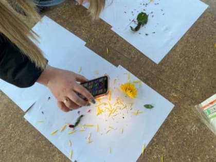 В хризантемах в Улан-Удэ выявили опасного вредителя