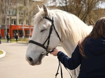 «Терапия впечатлений»: Собаки и лошади порадовали больных детей в Иркутске