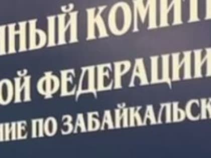В Чите на депутата гордумы возбудили дело за повторную пьяную езду
