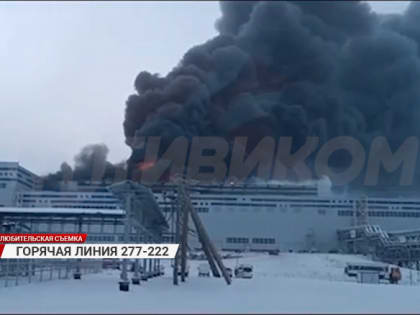 "Горячая линия" 277-222