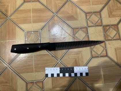 В Прибайкальском районе задержана женщина, обвиняемая в убийстве сожителя сестры после совместного употребления спиртных напитков