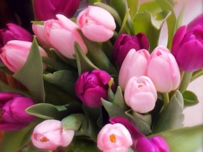 Поздравление с днем 8 марта от руководителей медорганизаций!