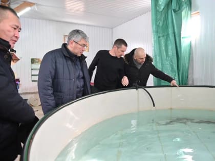 «И осетры, и форель»: глава Бурятии познакомился с владельцем рыборазводной фермы в Сотниково