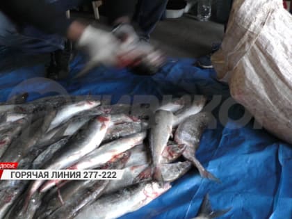 Дорожные происшествия и природные бедствия в Бурятии