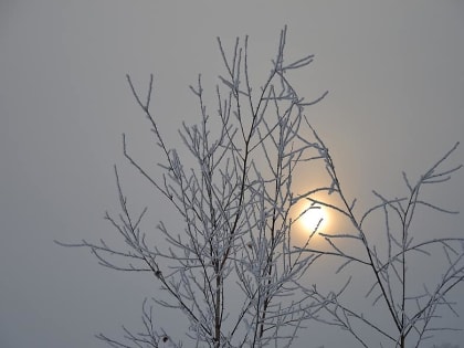 Погода в Улан-Удэ: ясный день с морозами