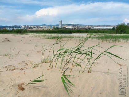 Бурятские врачи рассказали, можно ли мазать обгоревшую кожу сметаной