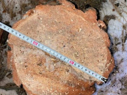 В Бурятии за неделю выявили 17 незаконных рубок