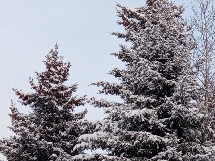 Погода в Бурятии 12 декабря 2024 года