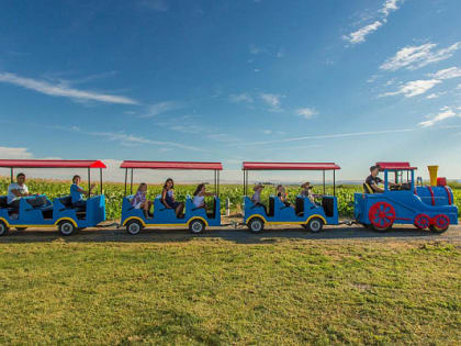 Школьники Бурятии стали участниками «Инженерных каникул»