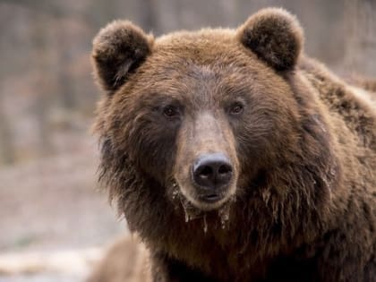 Народные приметы на 16 марта 2023 года: что нельзя делать в Евтропиев день. Желательно не выходить из дома после заката солнца