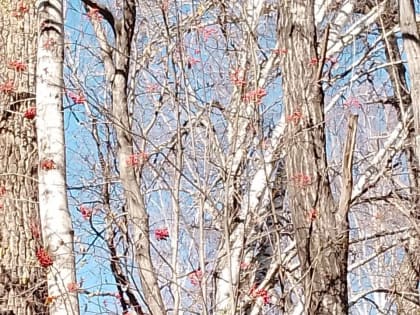 Погода в Бурятии 16 октября 2023 года