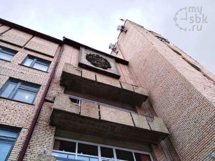 Администрацию Северобайкальска заставили заплатить за покусанных собаками детей