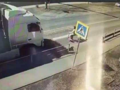 В Иркутской области водитель фуры едва не сбил мужчину с ребёнком