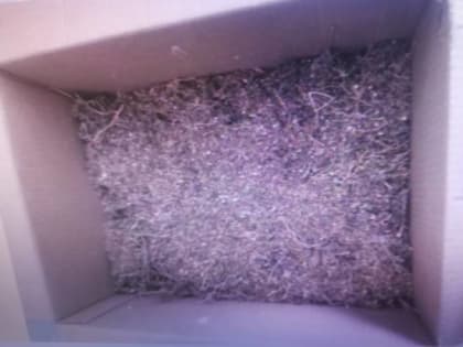 Житель Бурятии прятал наркотики в сломанном холодильнике