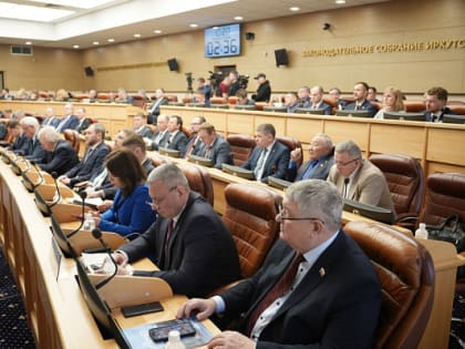 В Иркутской области материально поддержат народных дружинников