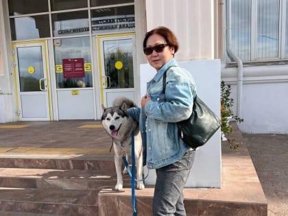 Выборы с четвероногими друзьями