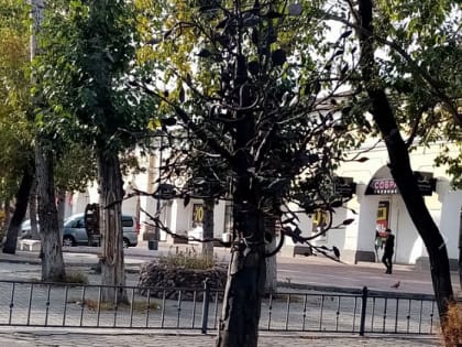 В Улан-Удэ с «дерева любви» пропали все замки