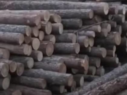В Иркутской области выявлены новые эпизоды контрабанды леса